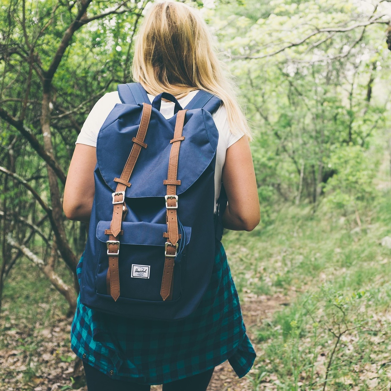 Hike with a Naturalist — June 12 - logo